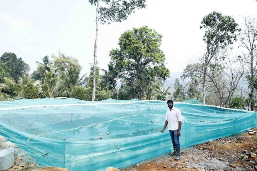 organic farm by mathewkutty tom in kerala