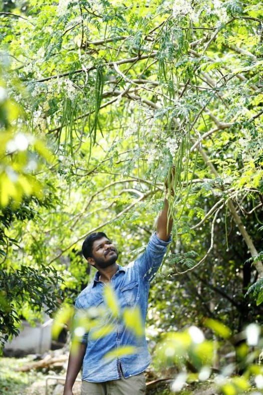 organic farm by mathewkutty tom