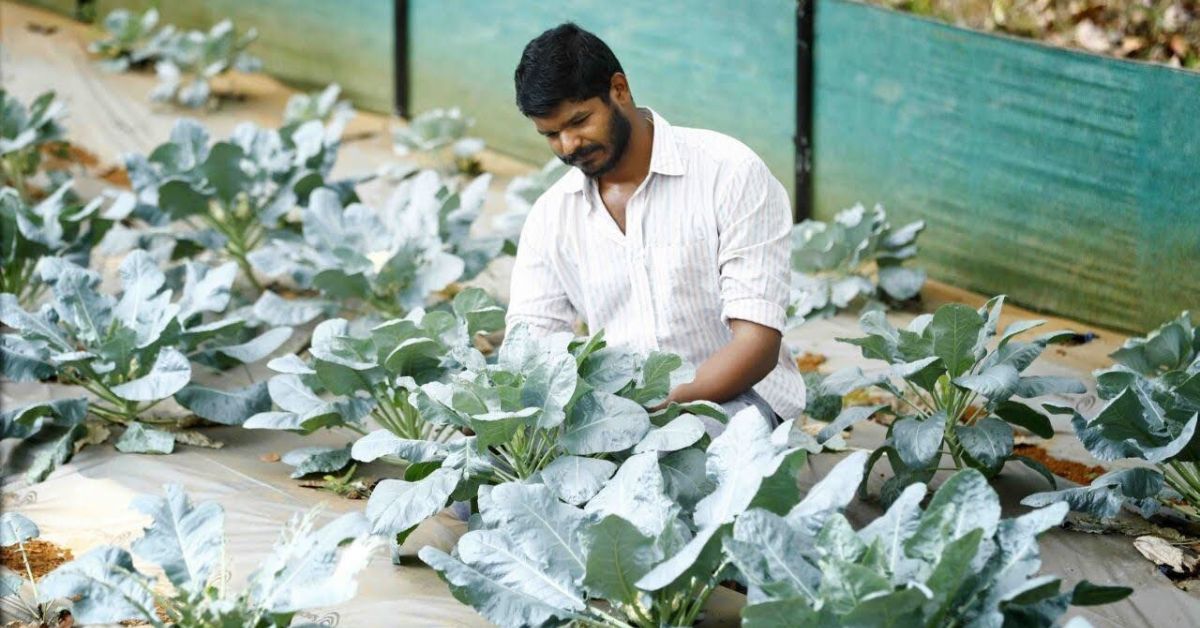 Mathewkutty tom organic farmer in kerala