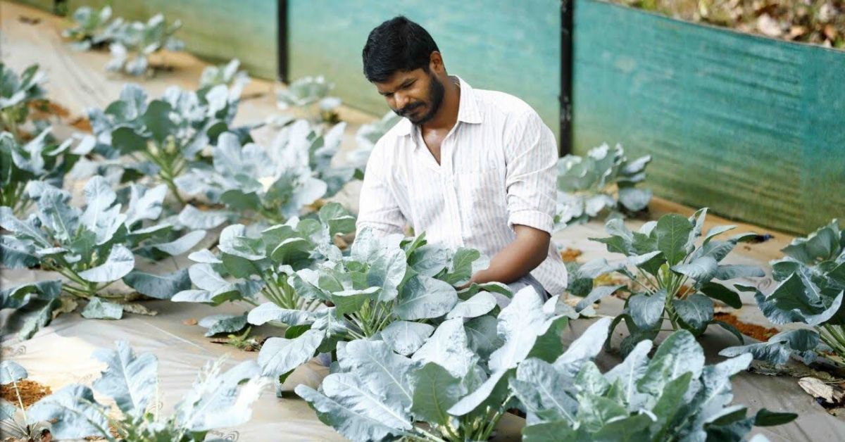 From Incessant Losses to Earning Lakhs/Month: How I Transformed My Family’s Organic Farm