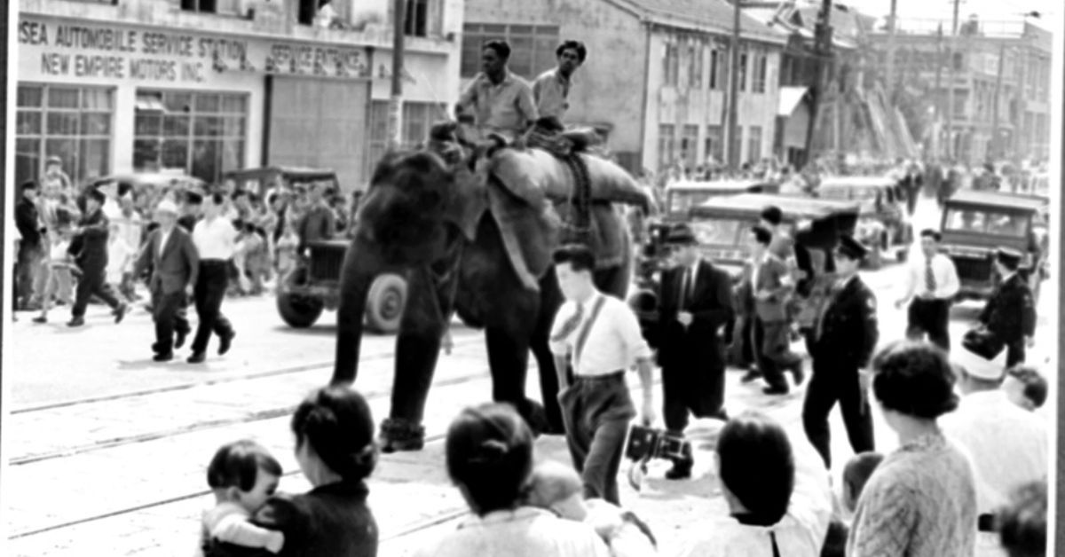 Indira, si gajah, dikawal dari dermaga ke gudang sebelum dibawa ke Kebun Binatang Tokyo.