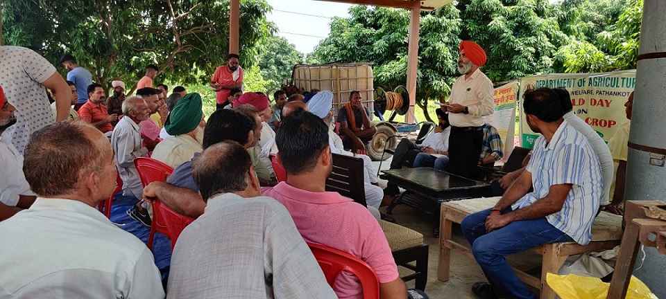 Deputy Commissioner Harbir Singh and Chief Agricultural Officer Dr Amrik Singh asking for the cooperation of farmers.