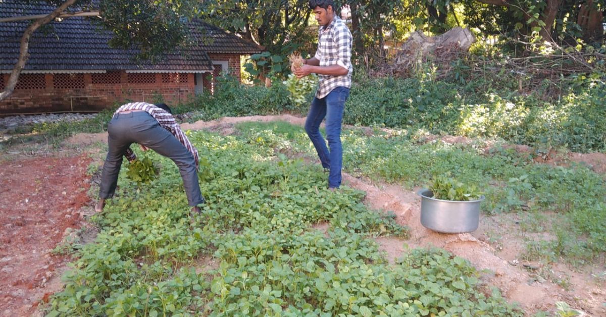 Students at APD horticulture program