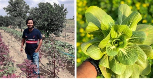With 2.5 Lakh Followers, Bihar Man Uses Instagram to Make Organic Farming Easy for All