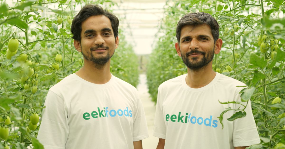 IIT Bombay Graduates Turn Barren Land into Soil-Less Farming Haven; Save 80% Water