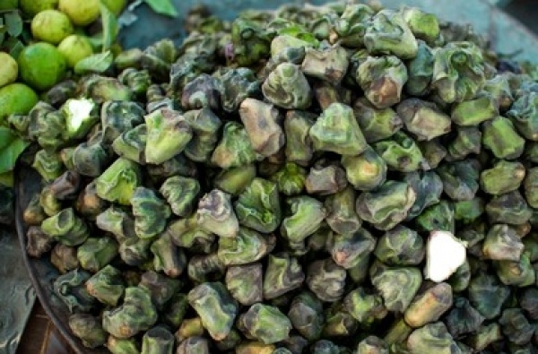 Water chestnut or Singhara 