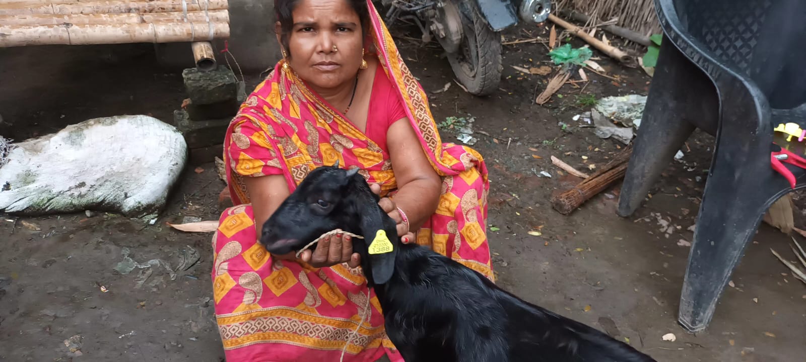 Sanju Devi has six healthy goats now for whom she has developed a goat shed.