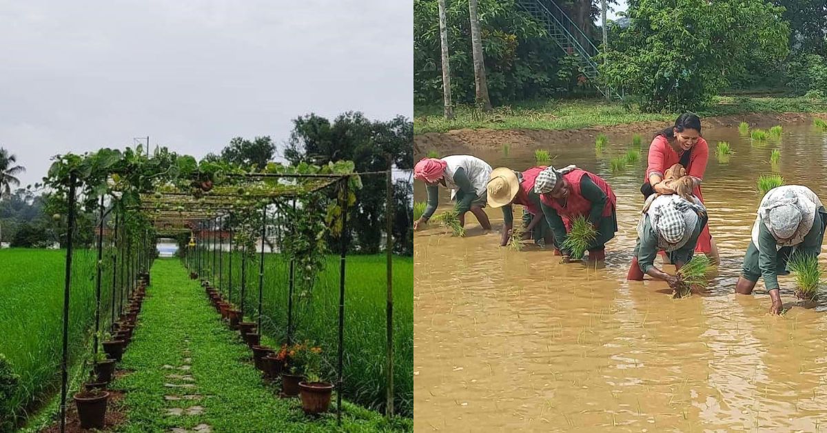 Behind The Scenes: How This 102-YO Farm Became Kerala’s 1st Carbon Neutral Farm