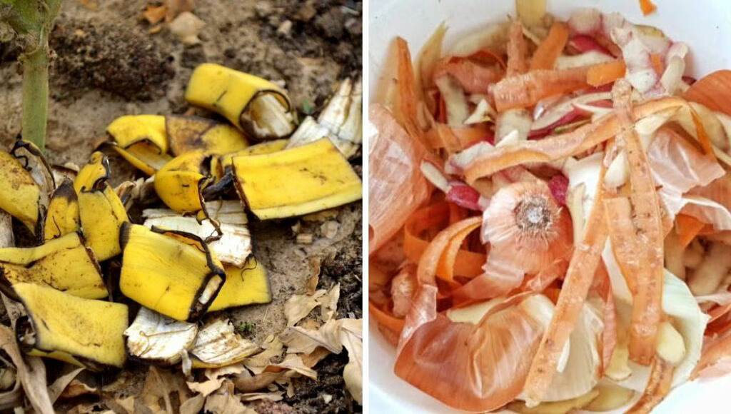 Kompos dapat dibuat dengan menggunakan kulit bawang, kulit pisang dll.