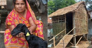 A Low-Cost, Bamboo Goat Shed Helps Cattle Rearers Save Livestock in Flood-Prone Bihar