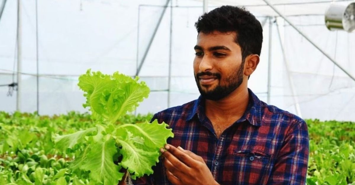 23-YO’s Hydroponic Setup to Grow Organic Veggies Earns Him Rs 54000 a Month