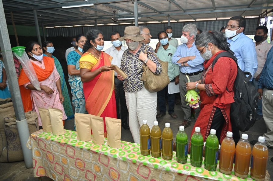 organic fertilisers on display for sale