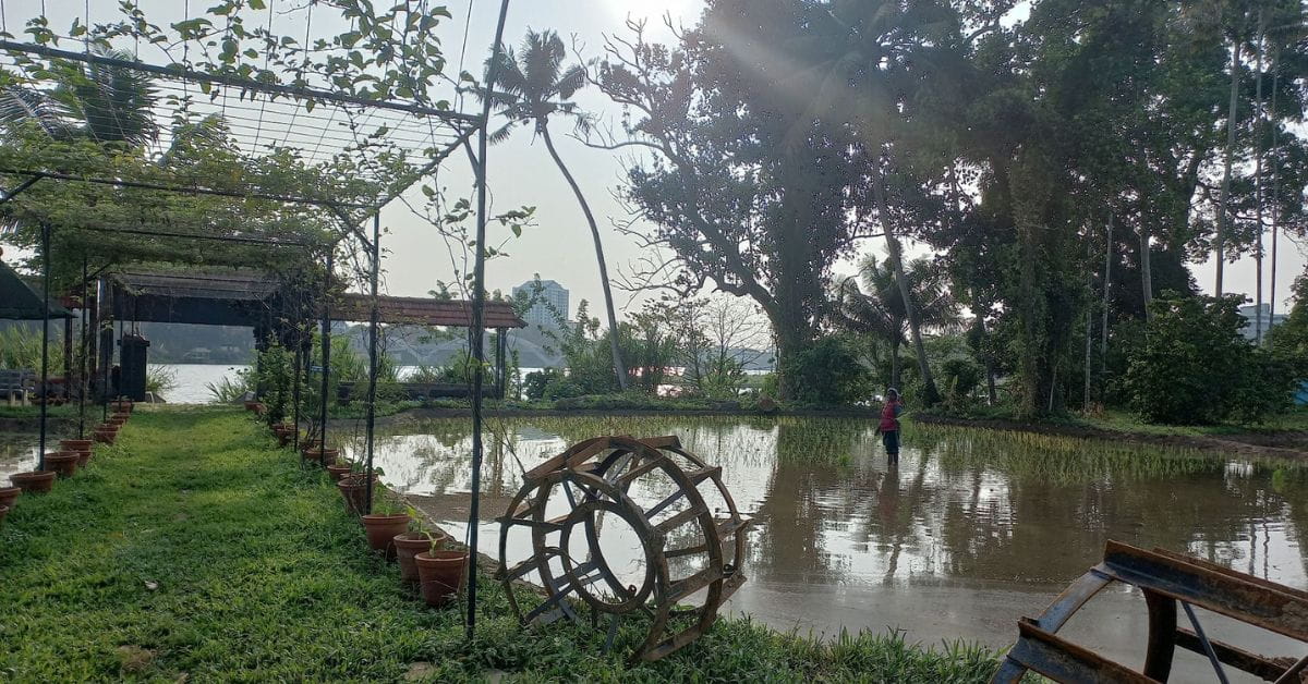 The State Seed Farm in Aluva