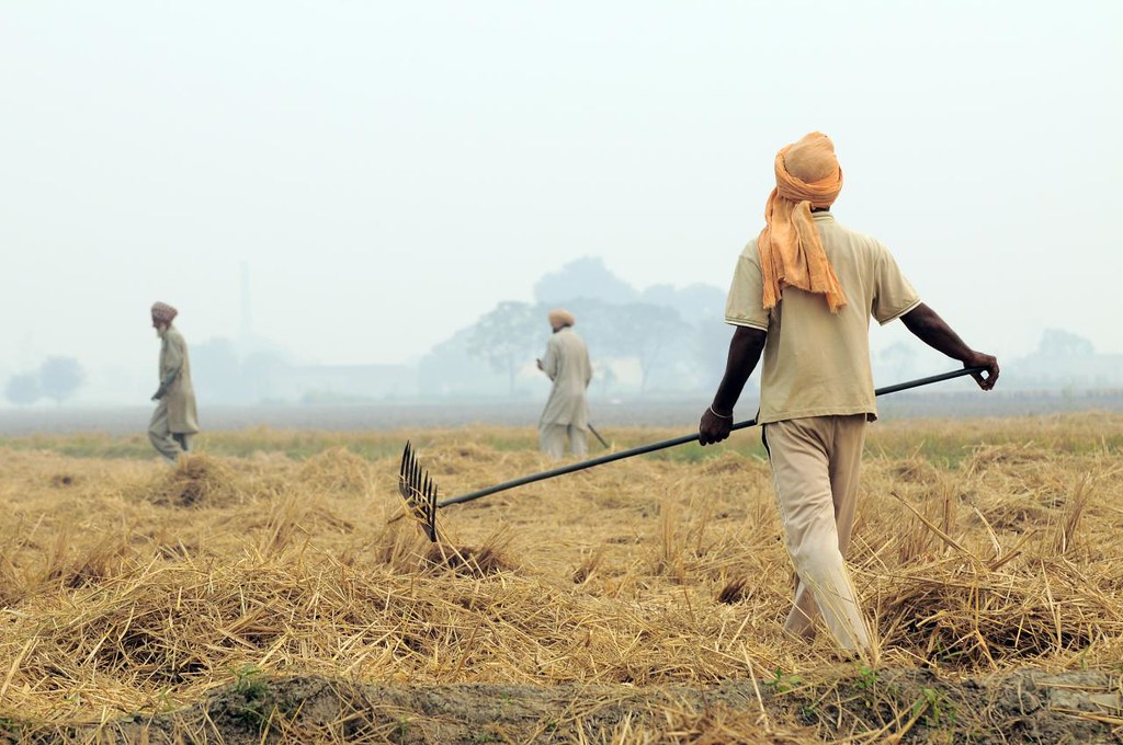 Crop waste to bioethanol fuel