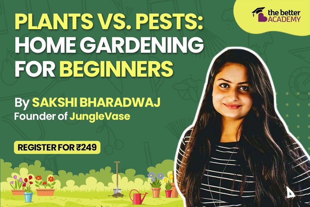 Plants Vs. Pests: Home Gardening For Beginners