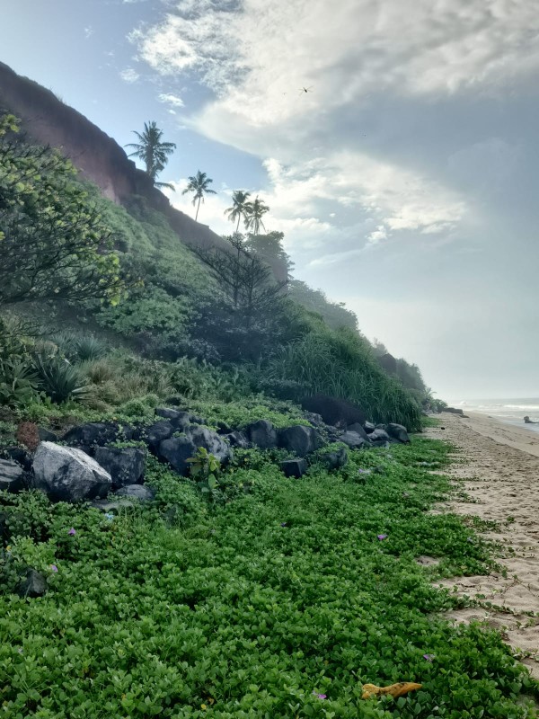 Varkala Beach, Thiruvananthapuram