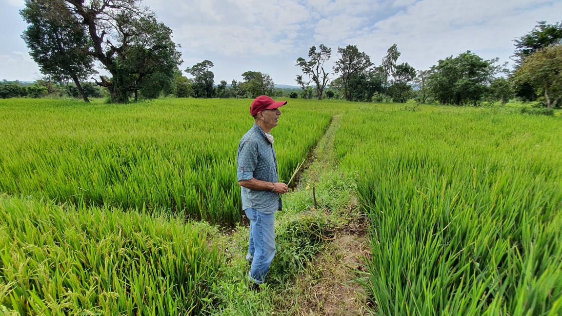 Ambrosia Organic Farms is one of India's first organic ventures