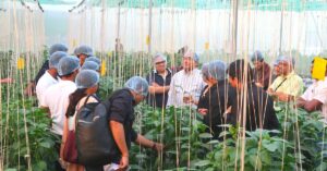 Three Friends Earn Crores With Hydroponics Empire, Train 35000 People Across India