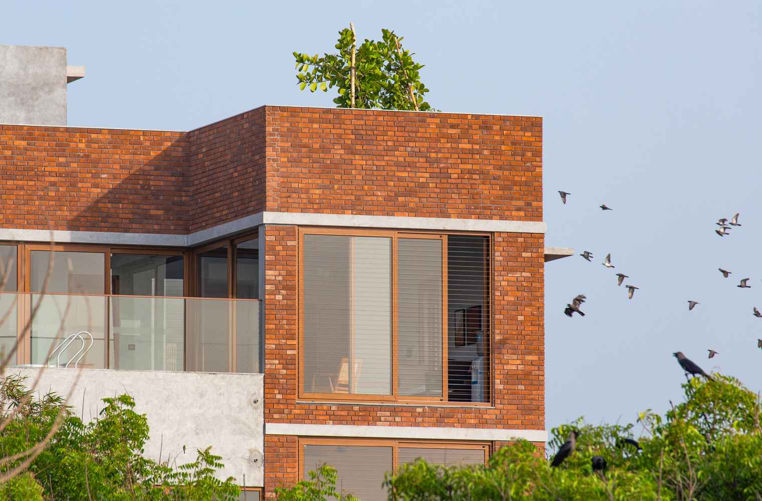 The Gully Home menggunakan semen dan beton minimal dan dibangun dengan prinsip berkelanjutan