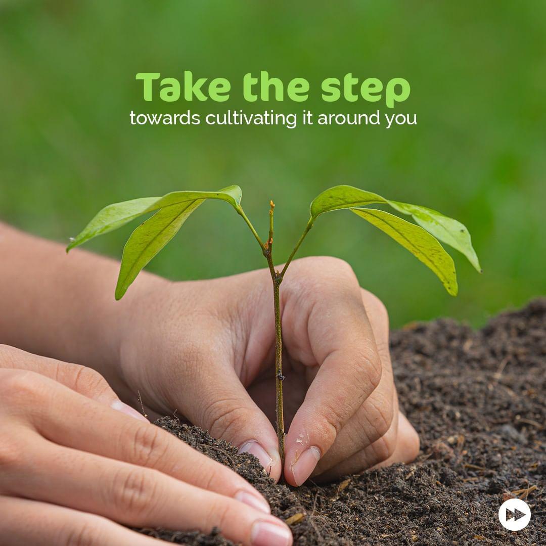 Take the step towards cultivating it around you