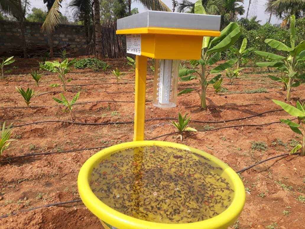 solar insect trap innovated by Karibasappa