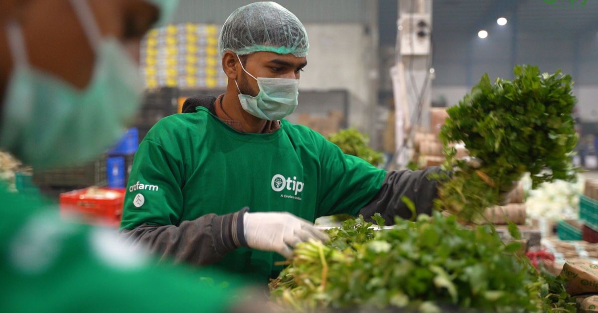 Can Otipy facilitate the sale of fresh produce from the land of small farmers?