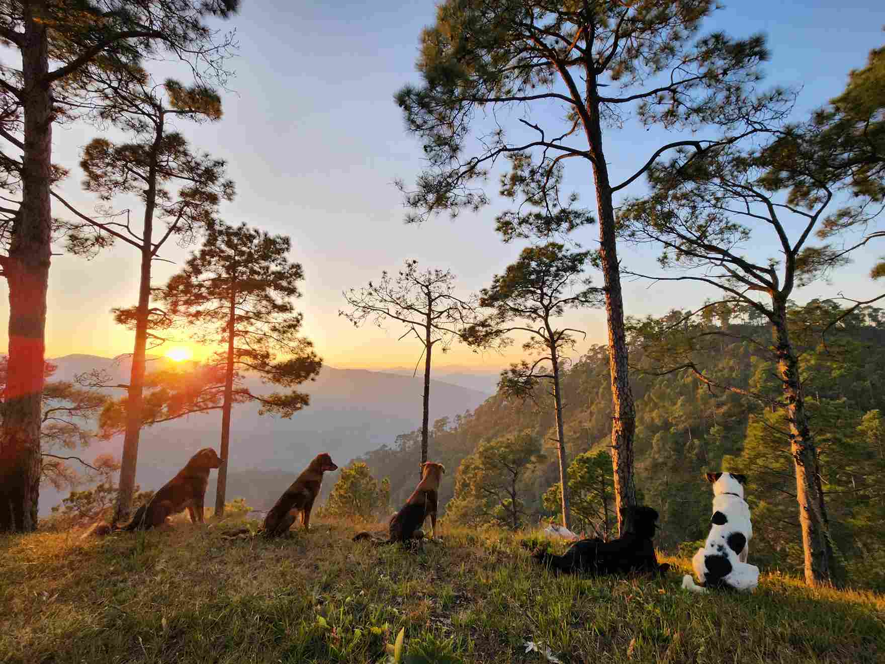 There are numerous treks that guests can undertake while they stay at Bir Terraces