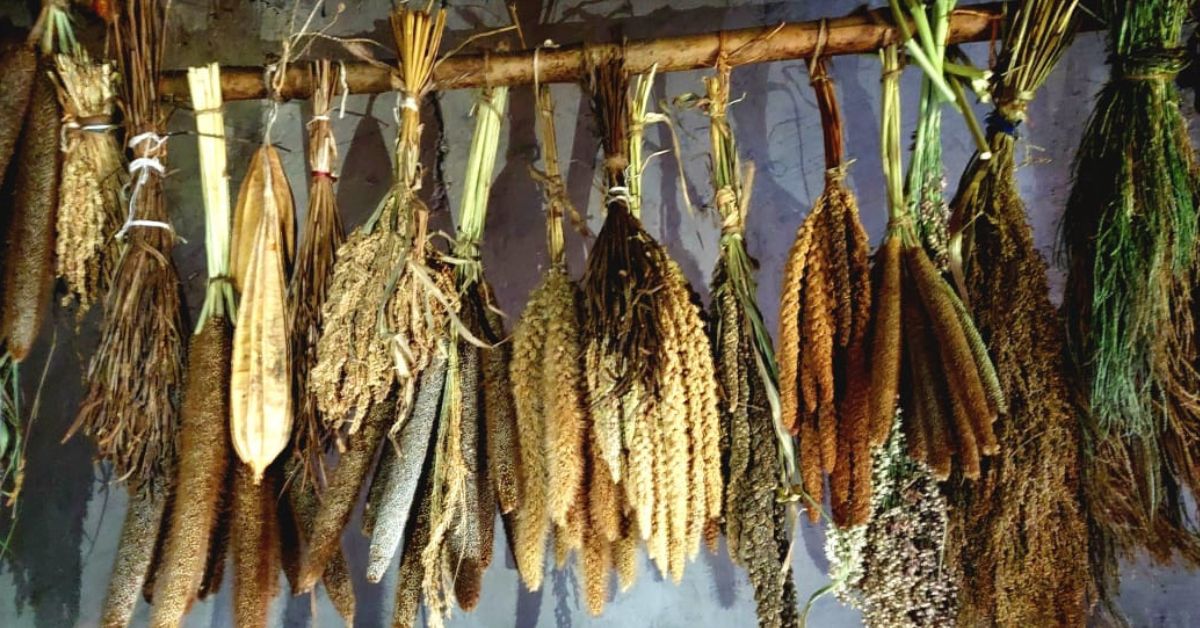 A variety of millet seeds that look like decoratives also hang from the roof of Lahari's house.