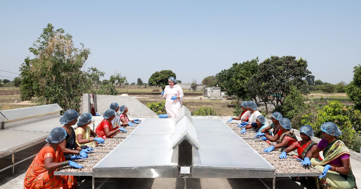 The solar-powered machines remove moisture from produce within 6-8 hours without adding any chemicals.