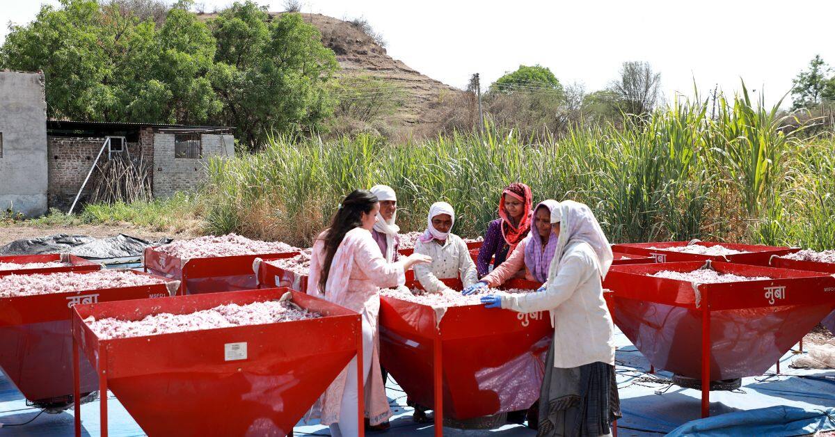 ’We Turn ‘Spoilt’ Crop Into Profits’: Startup Helps Women Farmers Become Breadwinners