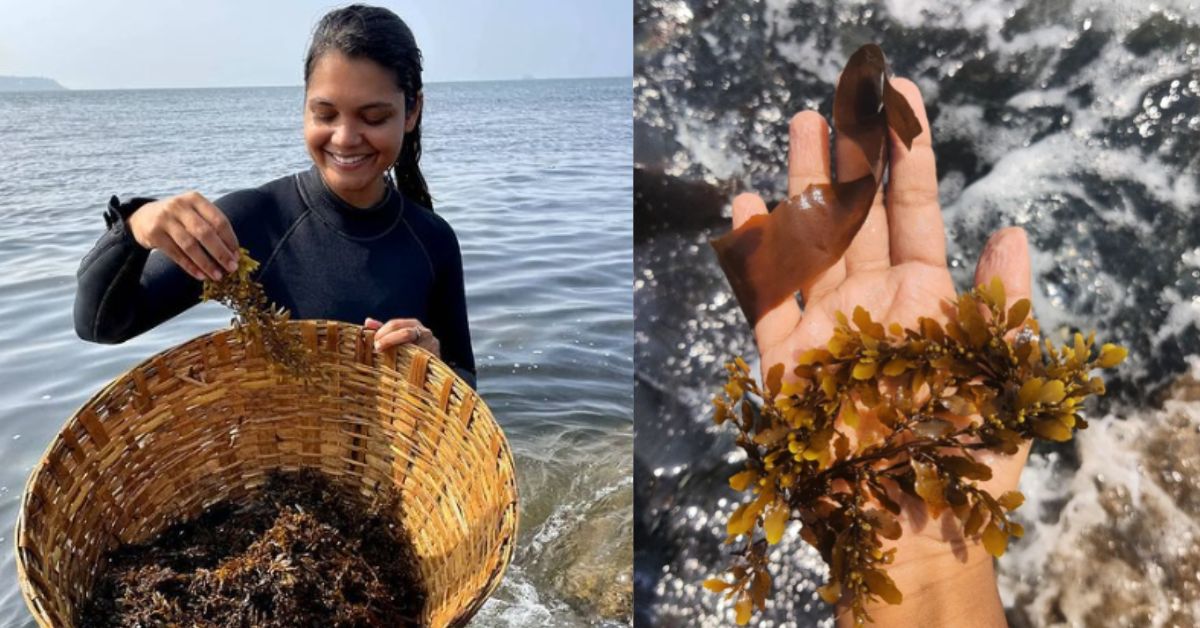 Gabriella D'Cru dari Goa yakin rumput laut adalah tanaman masa depan.
