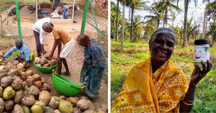 Engineer Uses Zero-Waste Farming to Make Products With All Parts of Coconuts, Earns Lakhs