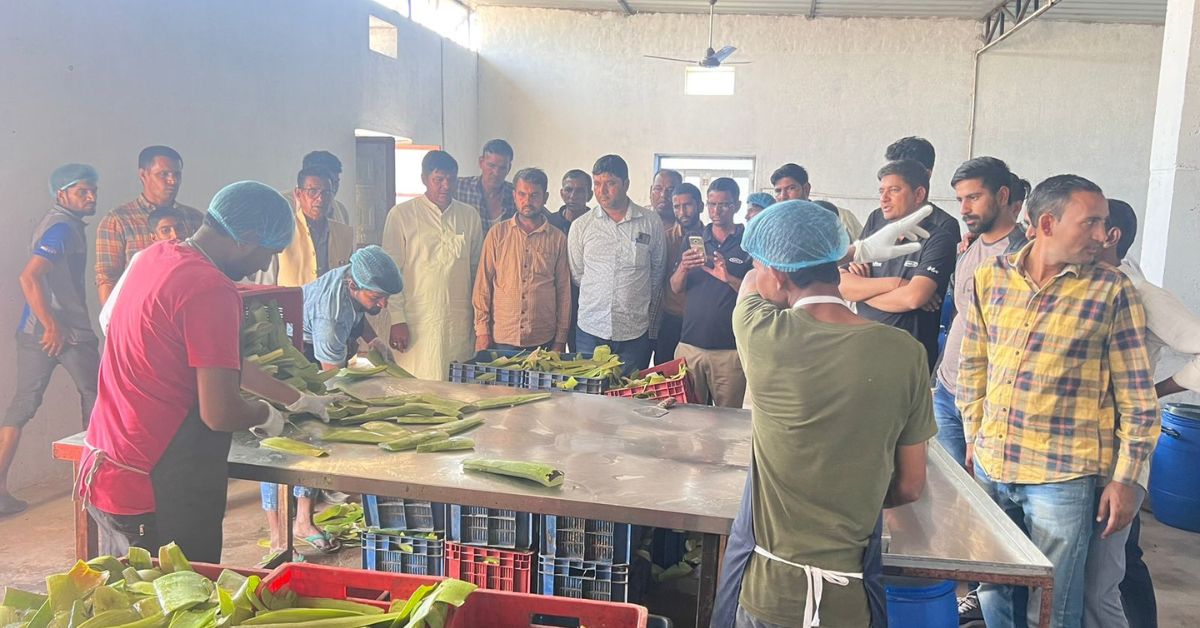 Hari ini, perusahaan Rakesh 'Vinayak Herbal' menjangkau ribuan petani di seluruh negeri.