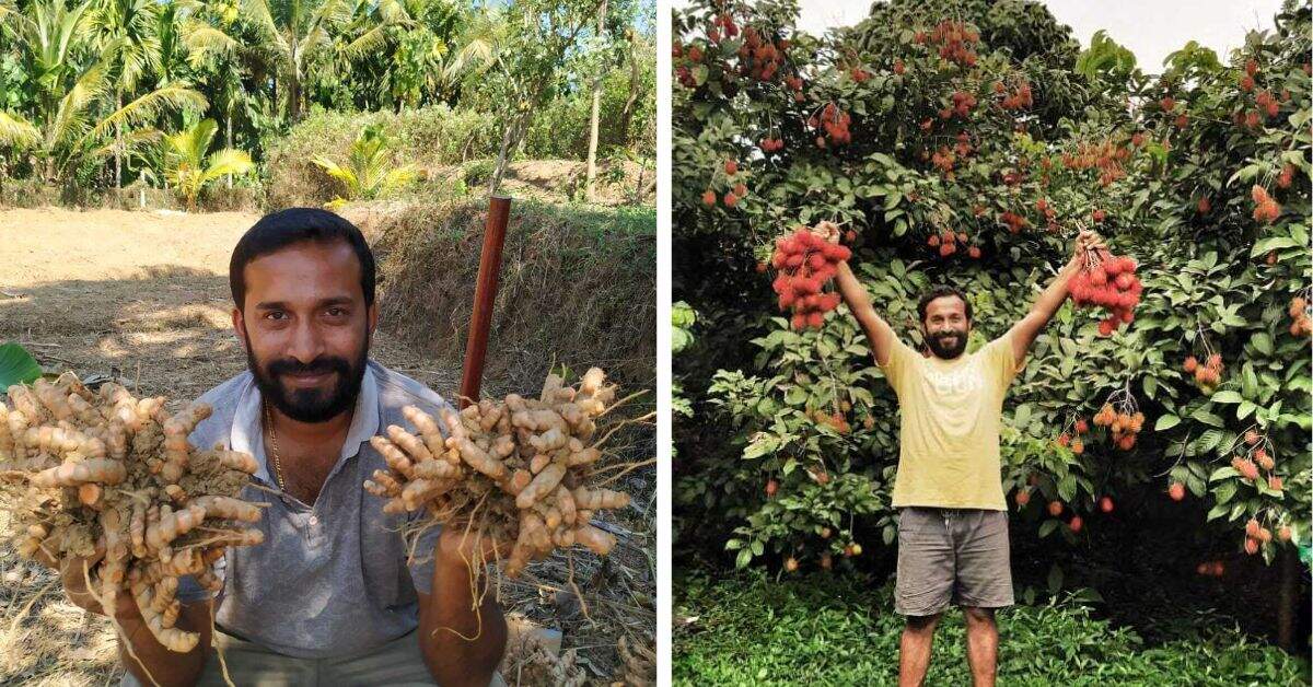 ‘Back to Roots’: Mangaluru Man Quit Successful Career For Farming; Earns Rs 15 Lakh/Year