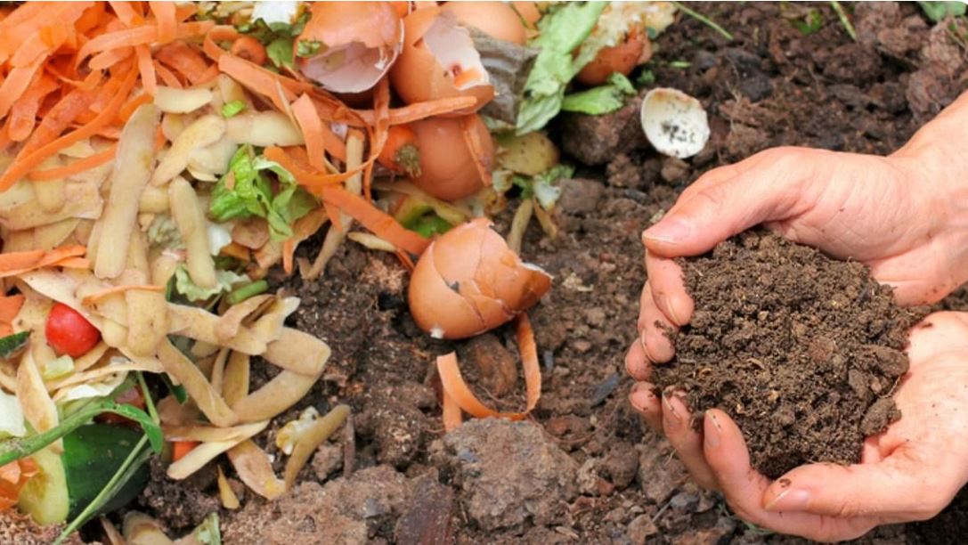 Proper aeration prevents the compost from becoming soggy and supports effective decomposition.