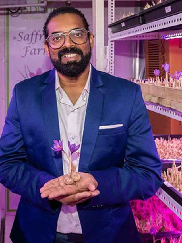 Ex-Engineer Uses Hydroponics to Grow Saffron in Shipping Containers, Earns Lakhs