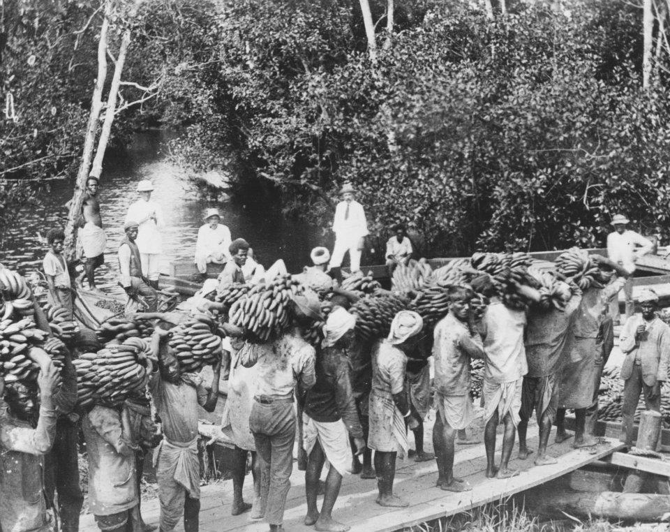 Indian labourers in Fiji were forced to work in the sugar and cane plantations for hours on end