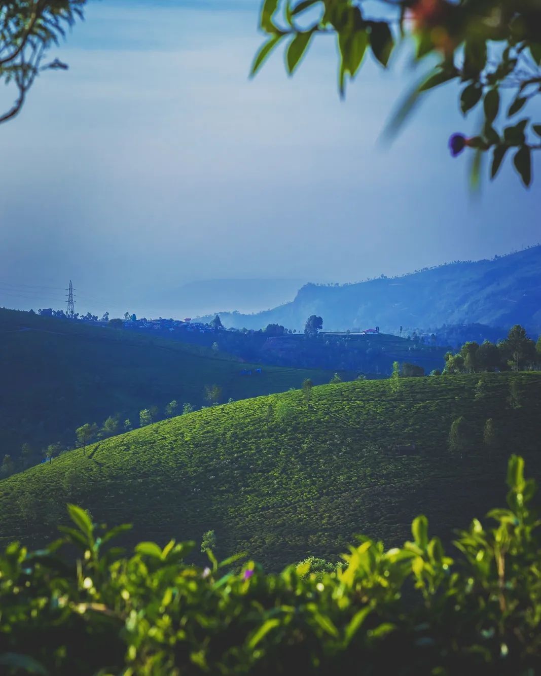 Perjalanan dari Bengaluru ke Cherrapunjee dipenuhi dengan pemandangan pegunungan Nilgiri