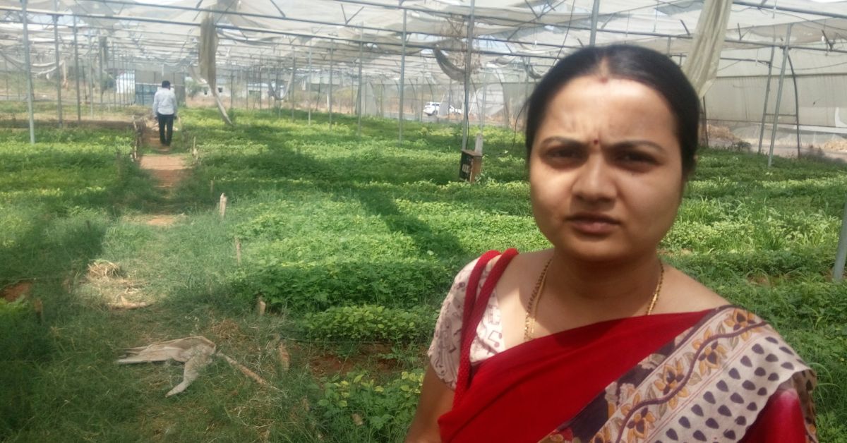 Chandana went back to her district and tied up with a few farmers to procure seeds. 