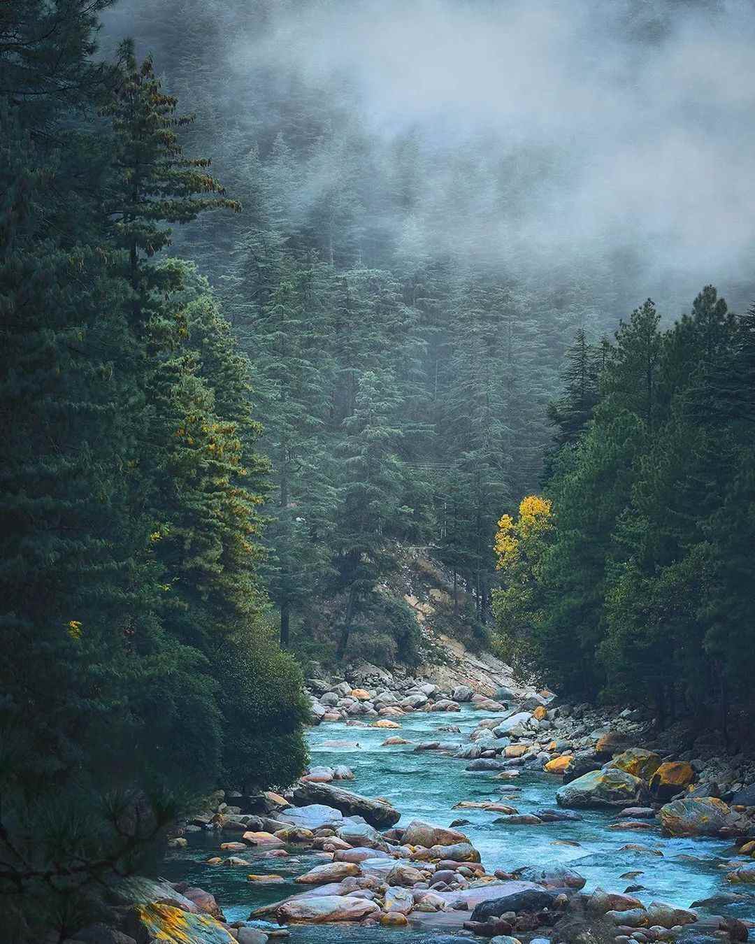 At Kasol, people can make a trip to Chalal, a quaint spot where they relax