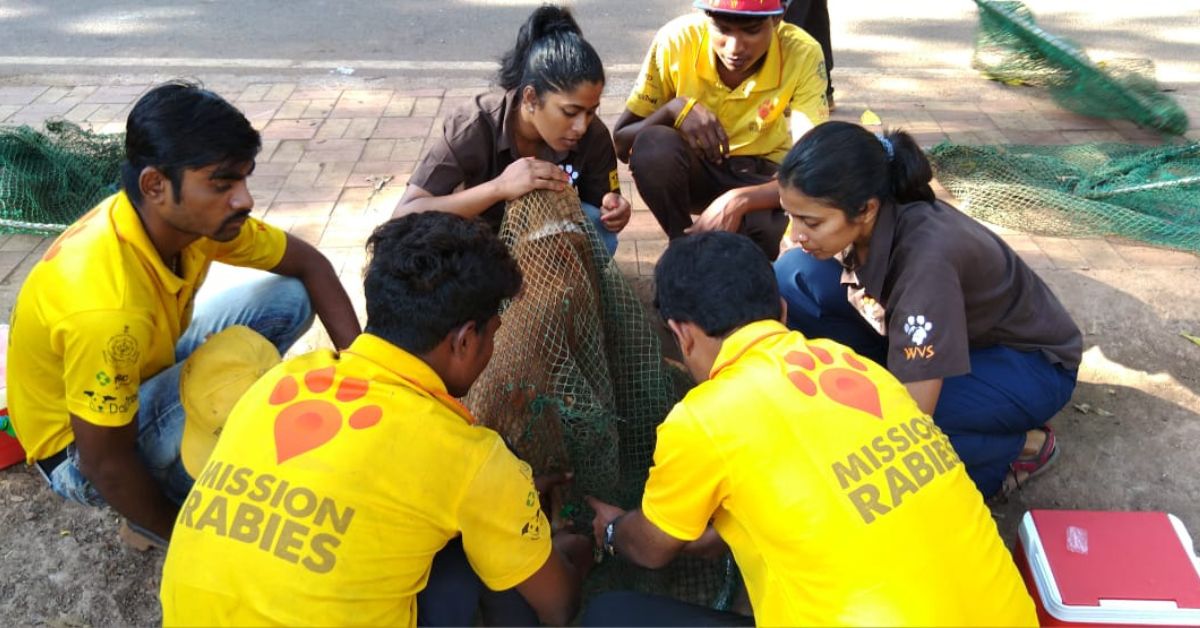 The non-profit vaccinates around one lakh dogs annually.