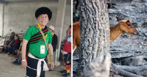64-YO Hunter-Turned-Saviour Dedicates Life to Save 60+ Species of Rare Birds & Animals