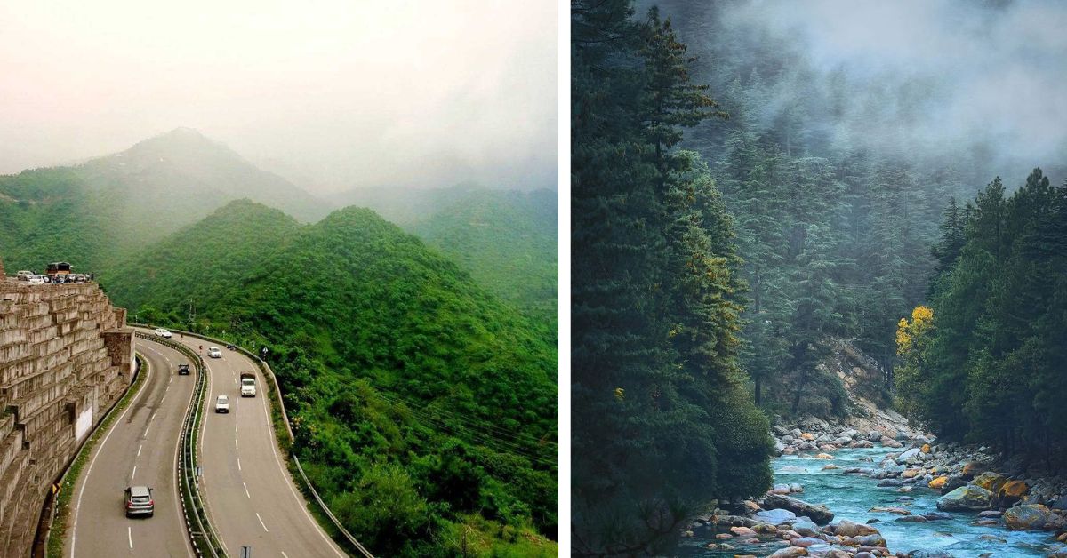 8 Majestic Forest Routes in India For a Scenic Road Trip This Summer