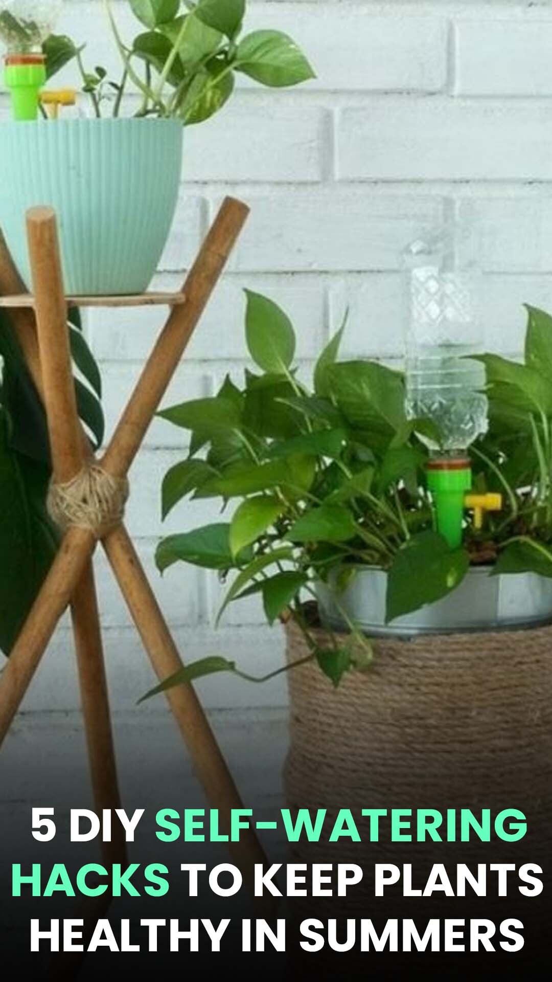 5 DIY Self-Watering Hacks To Keep Plants Healthy in Summers