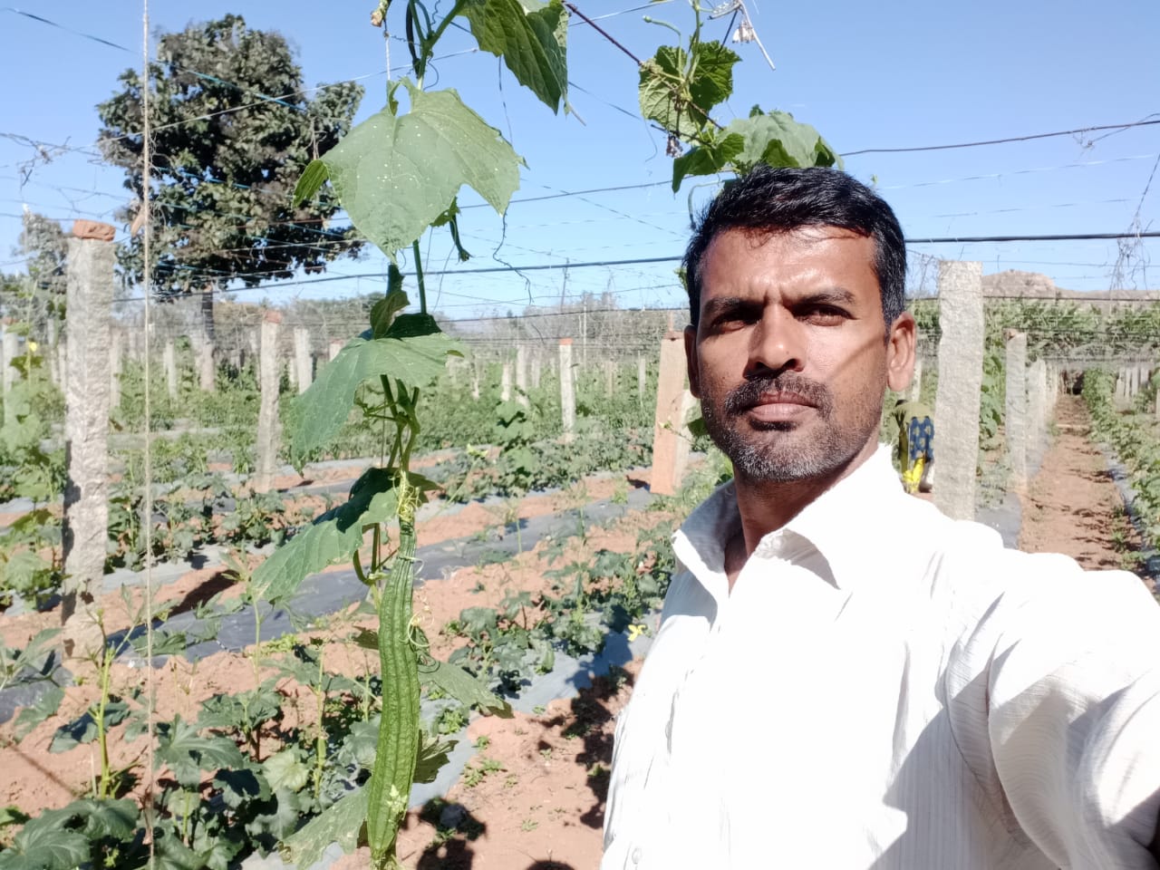 Anil Kumar, one of the farmers associated with the Organic Tap.