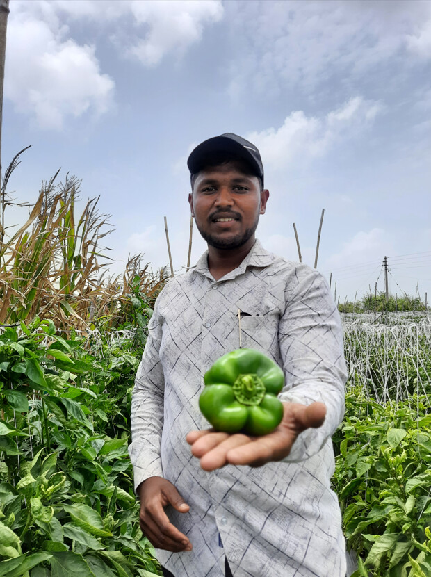 Pune Scientists help farmers battle climate change