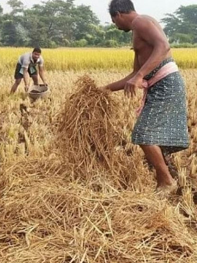 Odisha farmer