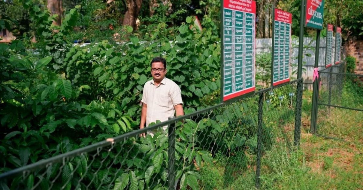 Award-Winning Teacher Turns His School Campus into a Mini Forest With Over 450 Trees