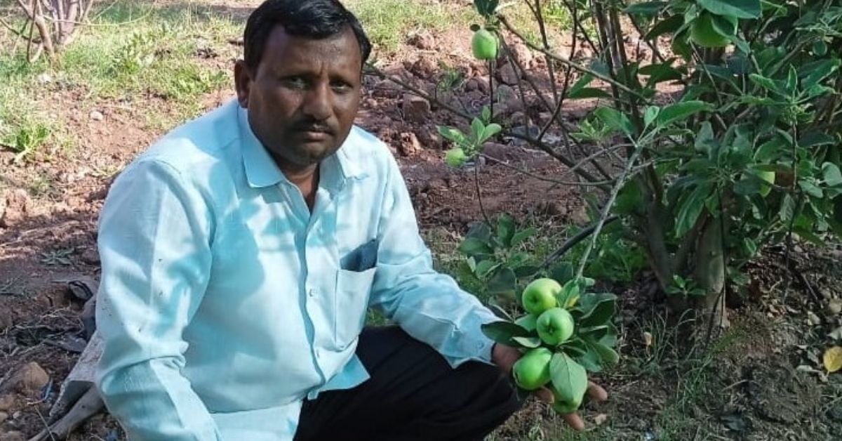 kakasaheb sawant is an apple farmer from sangli maharashtra 