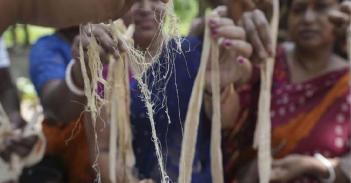 Gaurav found that the pulp of these plants contains cellulose, which can be converted into yarn, similar to jute.